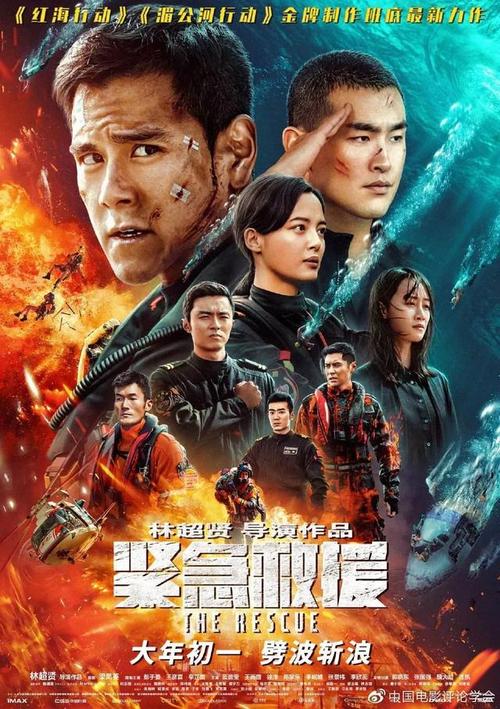 駿河台大学艺术文凭证书